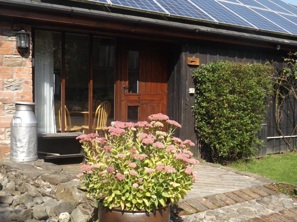 Irfon Cottage Builth Wells Buitenkant foto